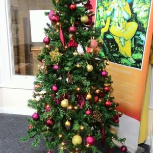 Pre Christmas Preparations2